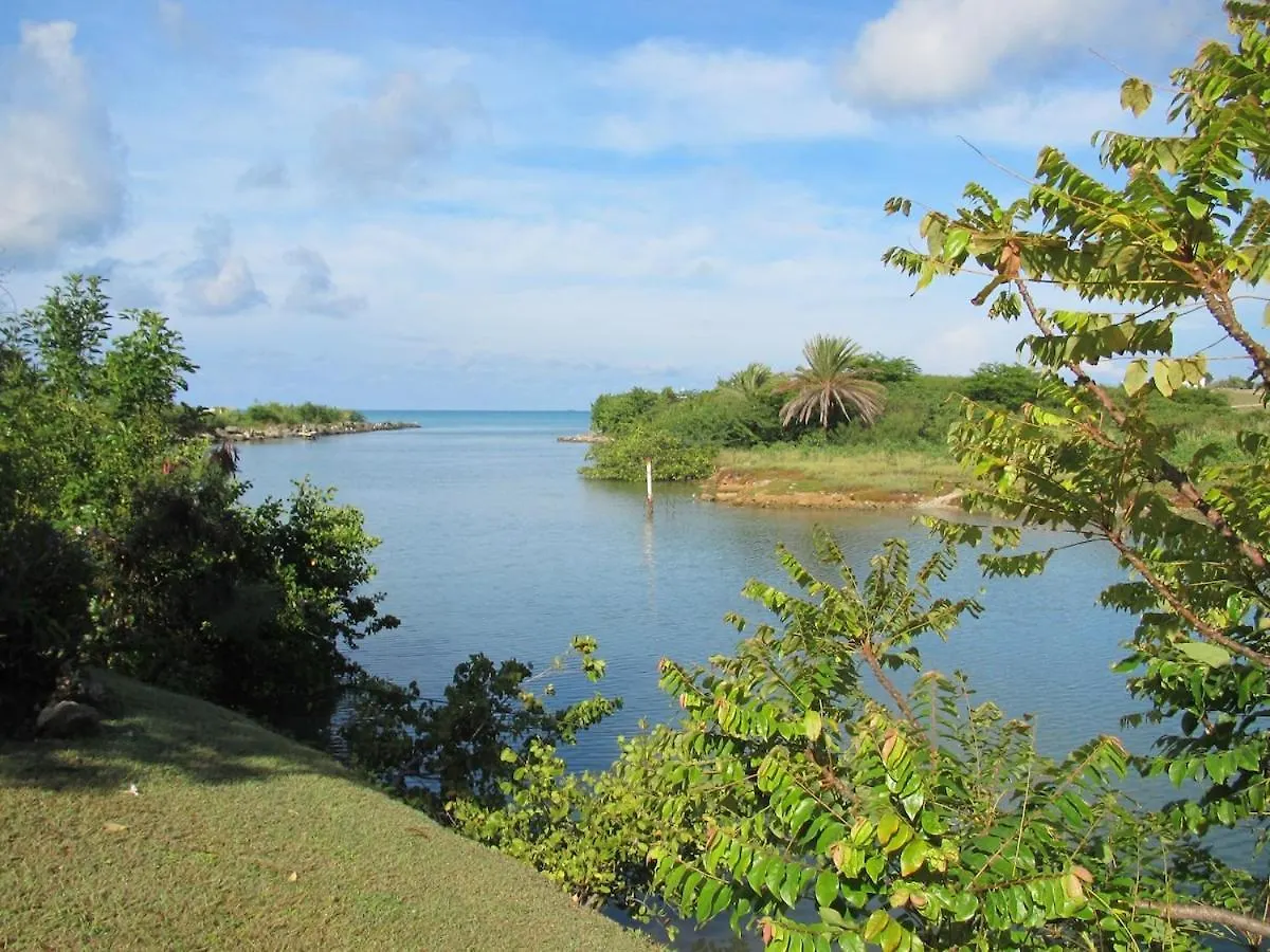 Caribbean Living - Best Beach Condo In Antigua Dickenson Bay شقة