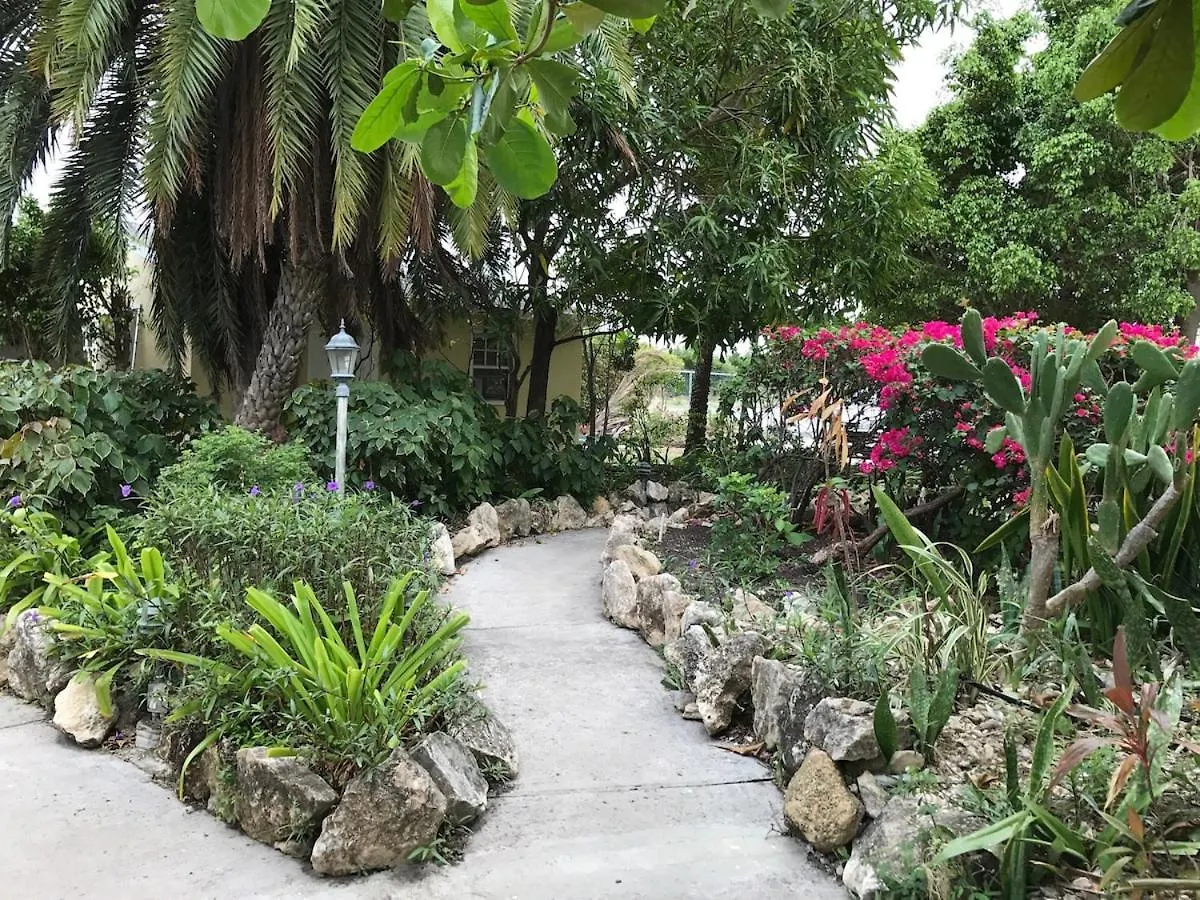 شقة Caribbean Living - Best Beach Condo In Antigua Dickenson Bay